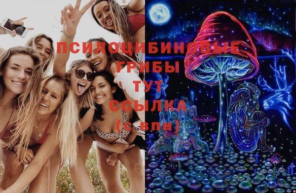первитин Белоозёрский