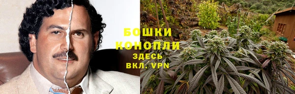 каннабис Беломорск