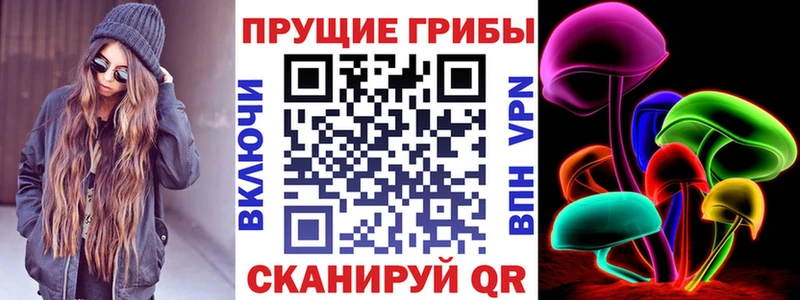 Галлюциногенные грибы Psilocybe  магазин продажи   Катав-Ивановск 